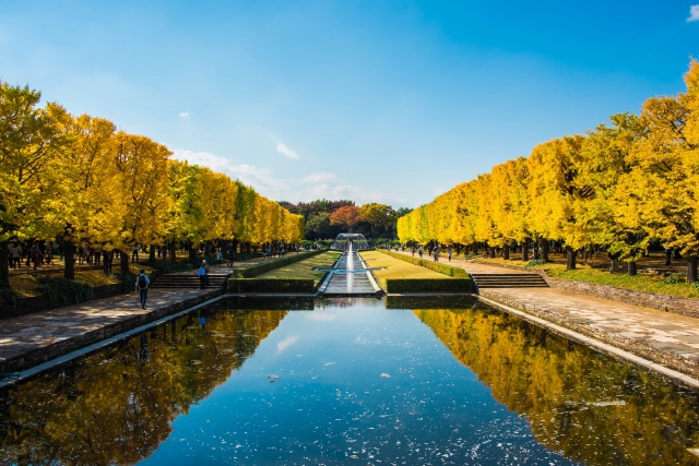 国営昭和記念公園(