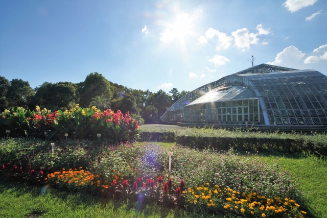 京都府立植物園