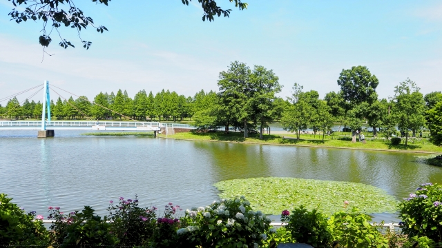 水元公園